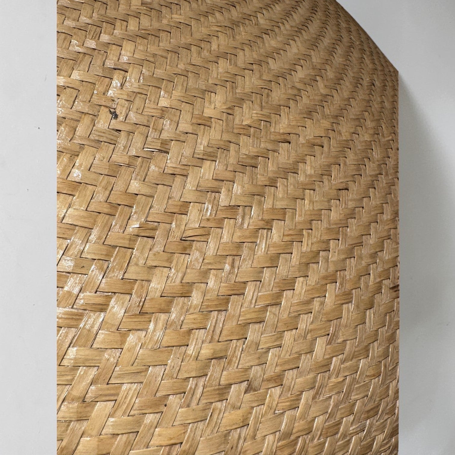 Adaya Rattan Floor Lamp
