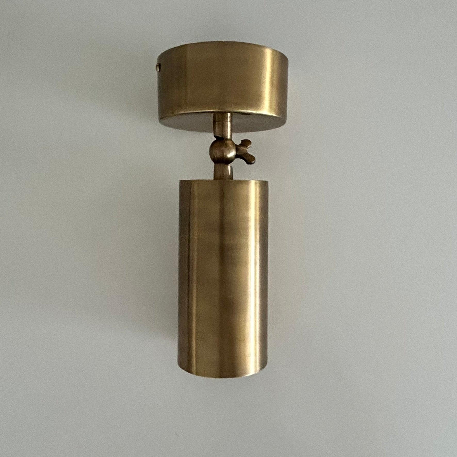 Bruges Antique Brass Adjustable Ceiling Can Lamp (Clearance)
