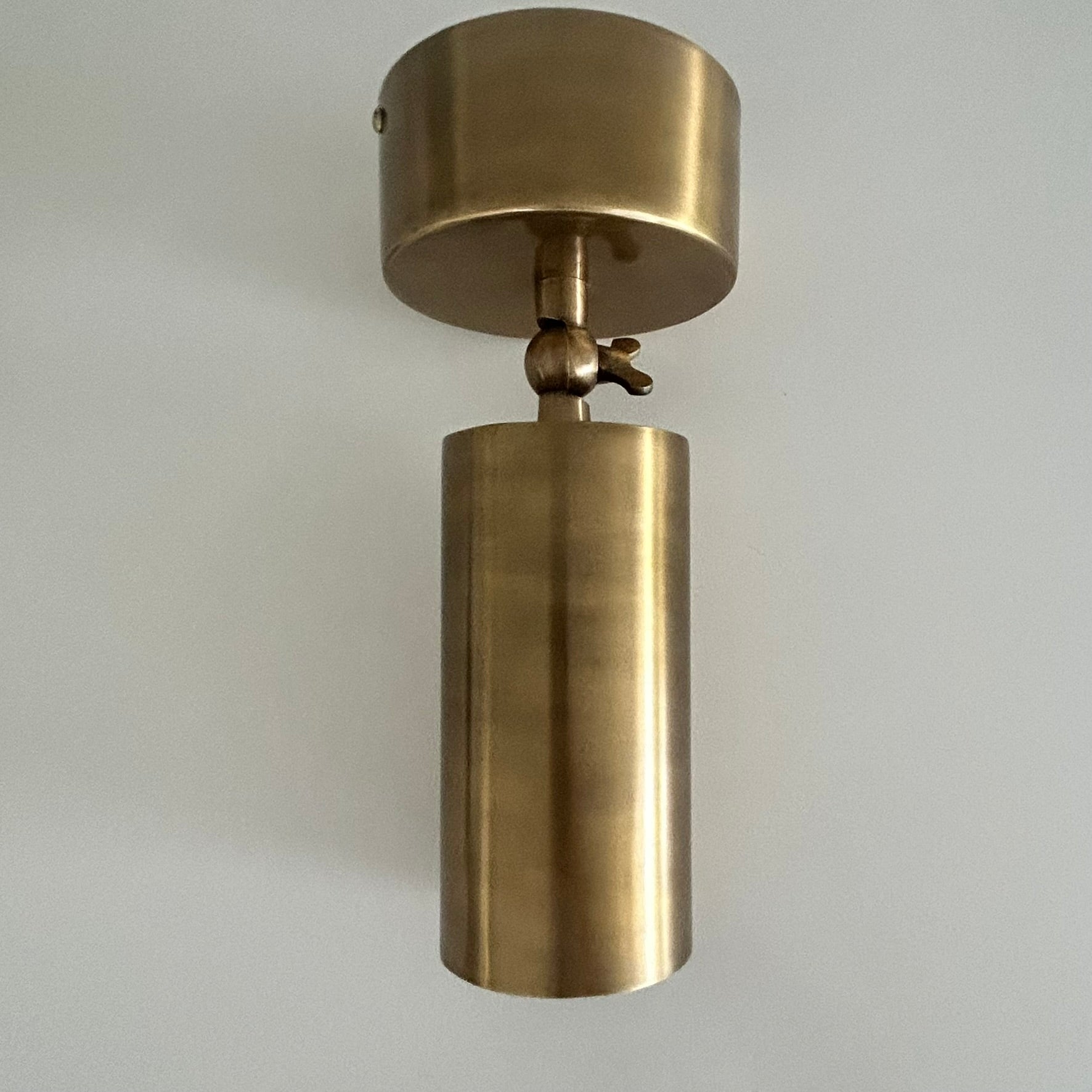Bruges Antique Brass Adjustable Ceiling Can Lamp (Clearance)