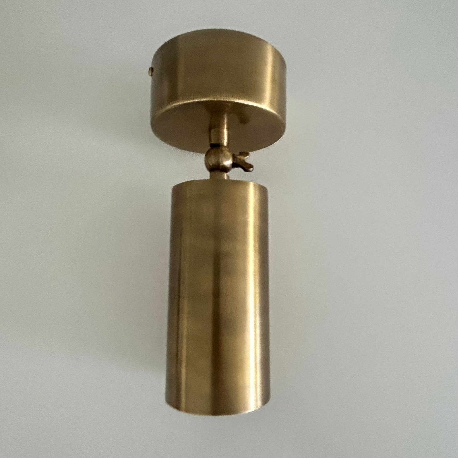 Bruges Antique Brass Adjustable Ceiling Can Lamp (Clearance)