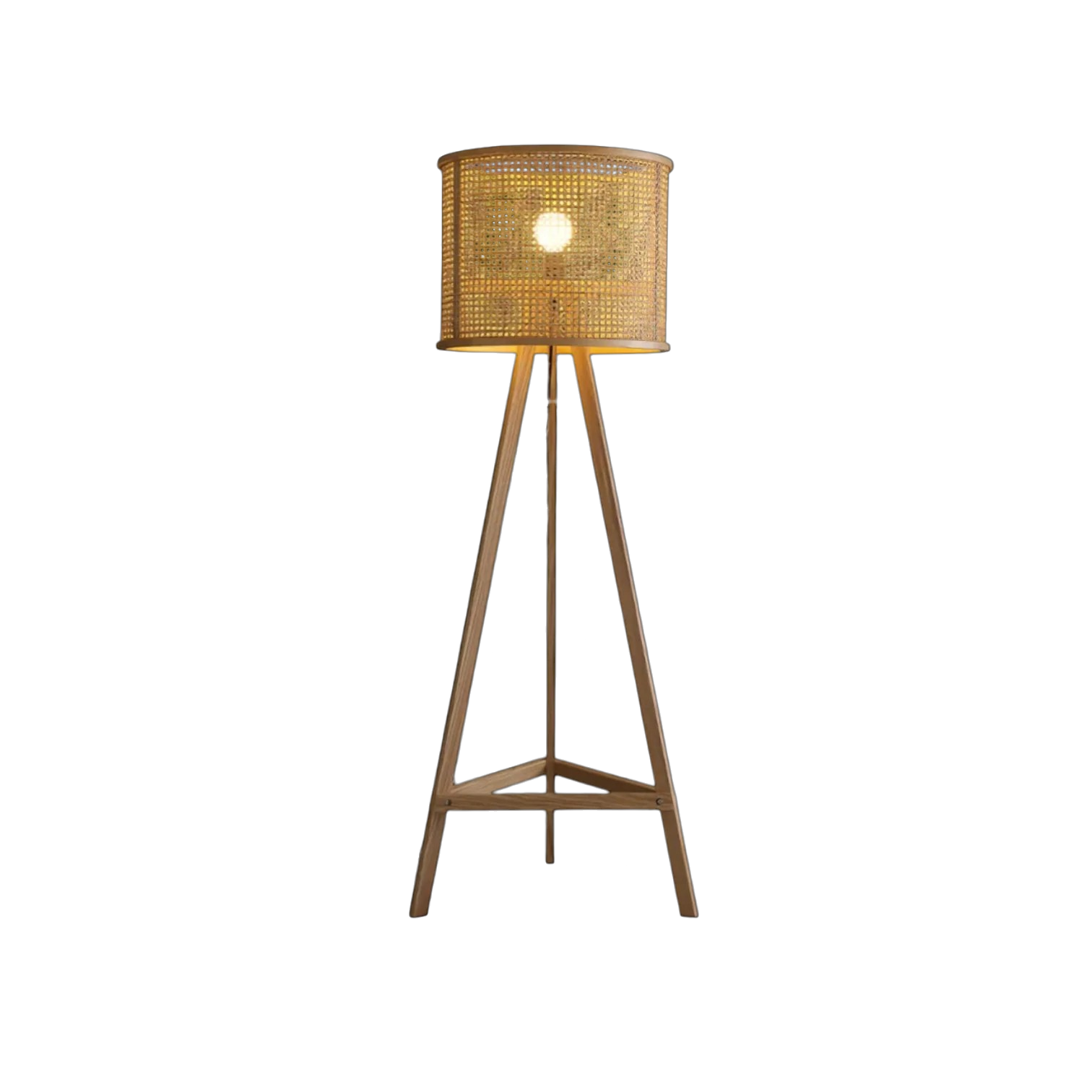 Darcel Floor Lamp