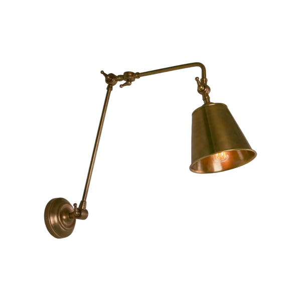 Douglas Antique Brass Flexible Arm Sconce Wall Light