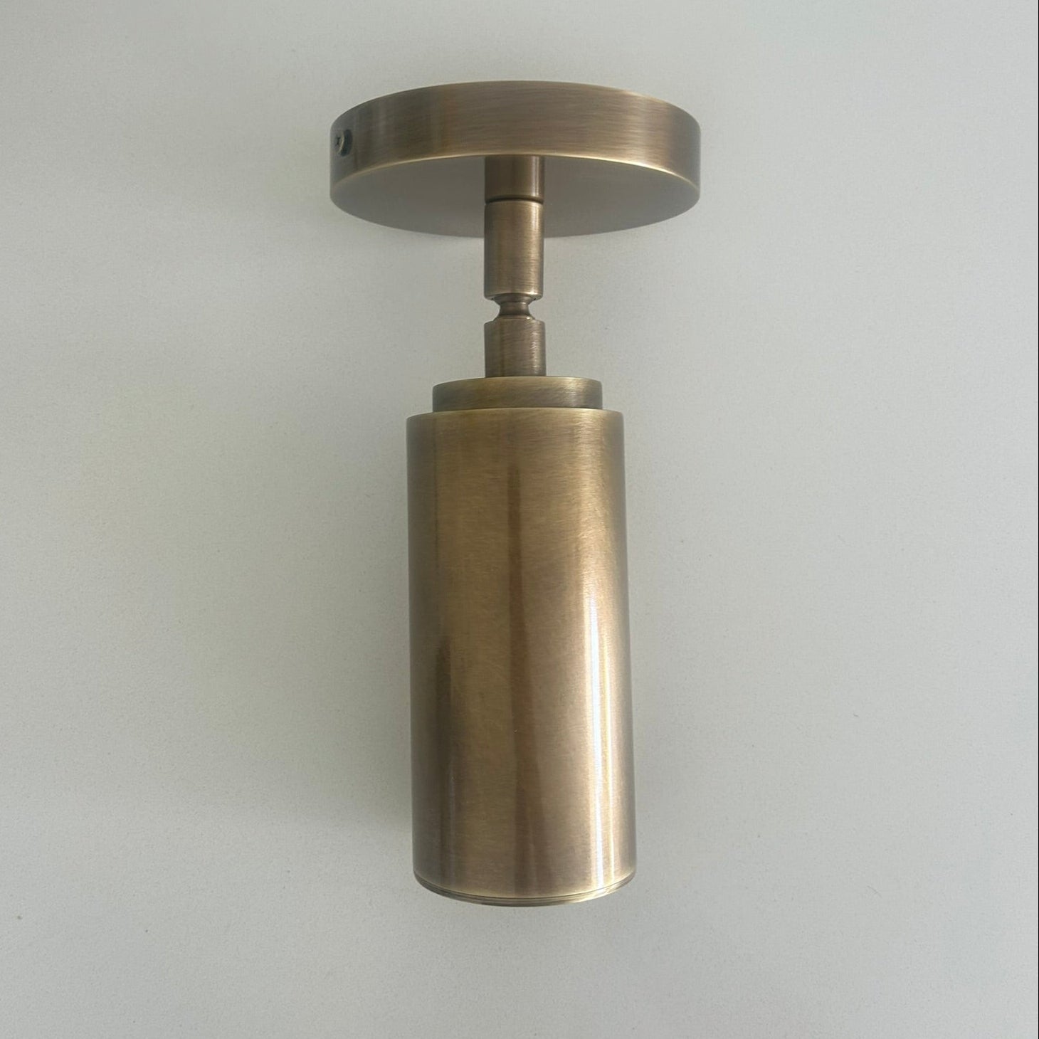 Geraldine Brass Ceiling Can Lamp