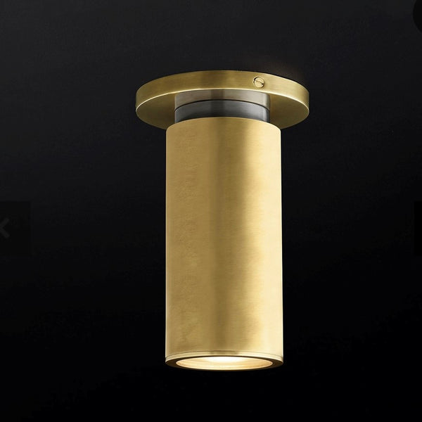 Geraldine Adjustable OR Fixed Ceiling Lamp