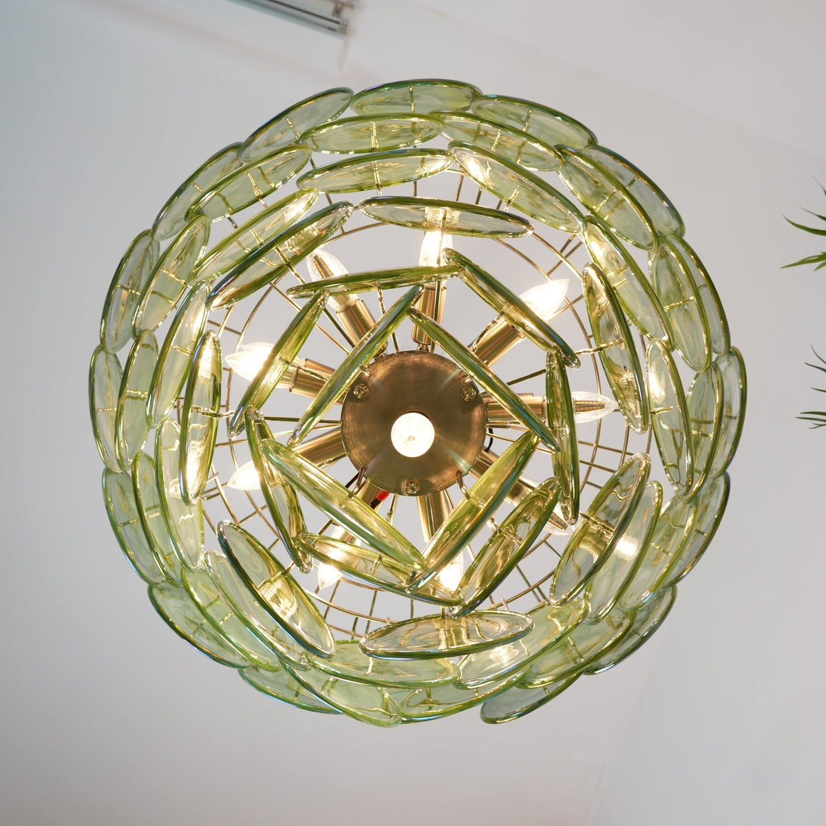 Adelina Murano Disc Chandelier