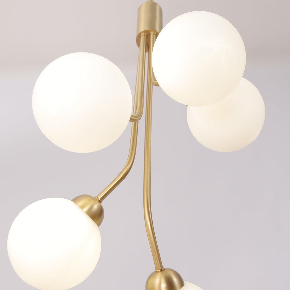 Frannie 5 Chandelier