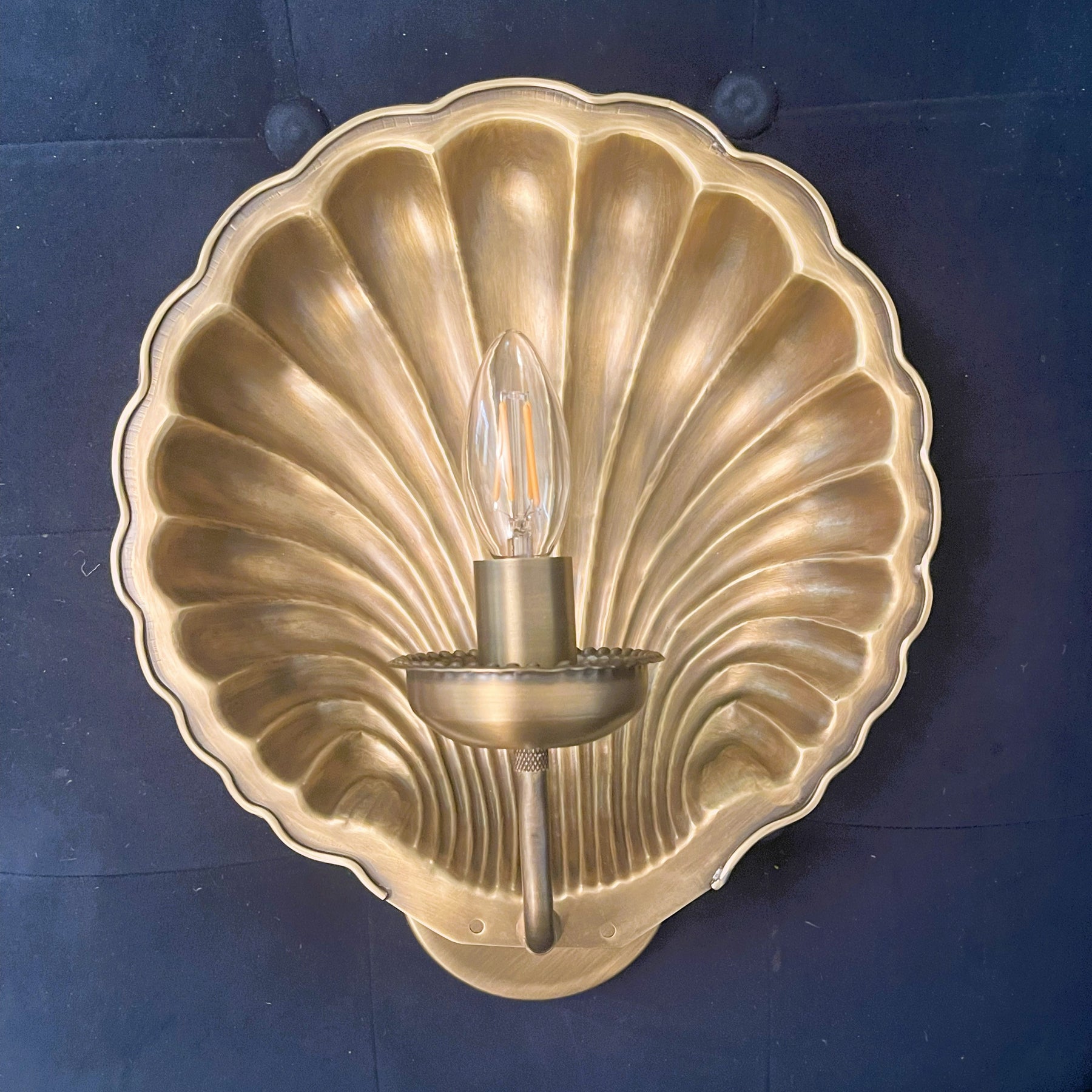 Antonia Round Shell Brass Sconce Wall Light