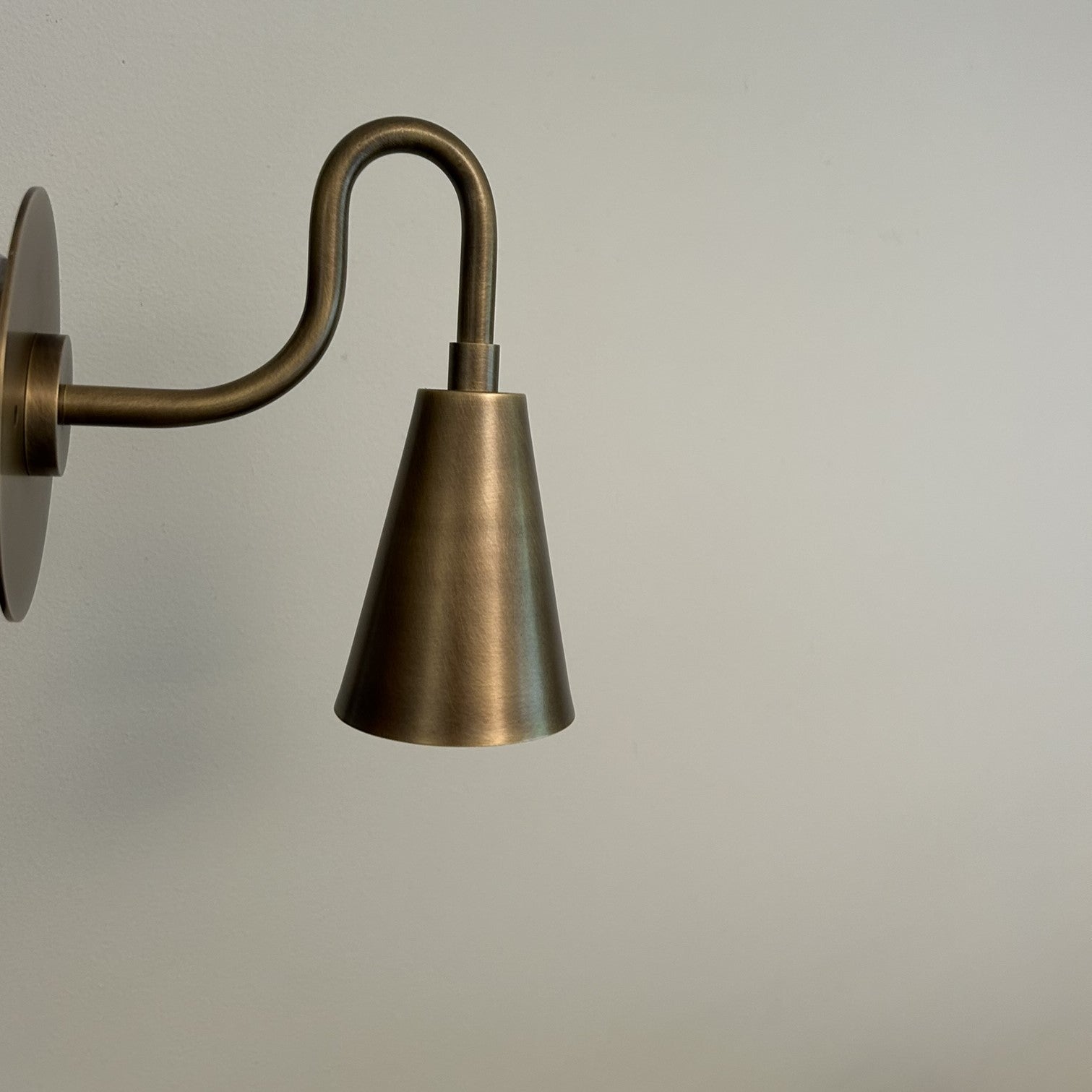 Irie Gooseneck Wall Lamp