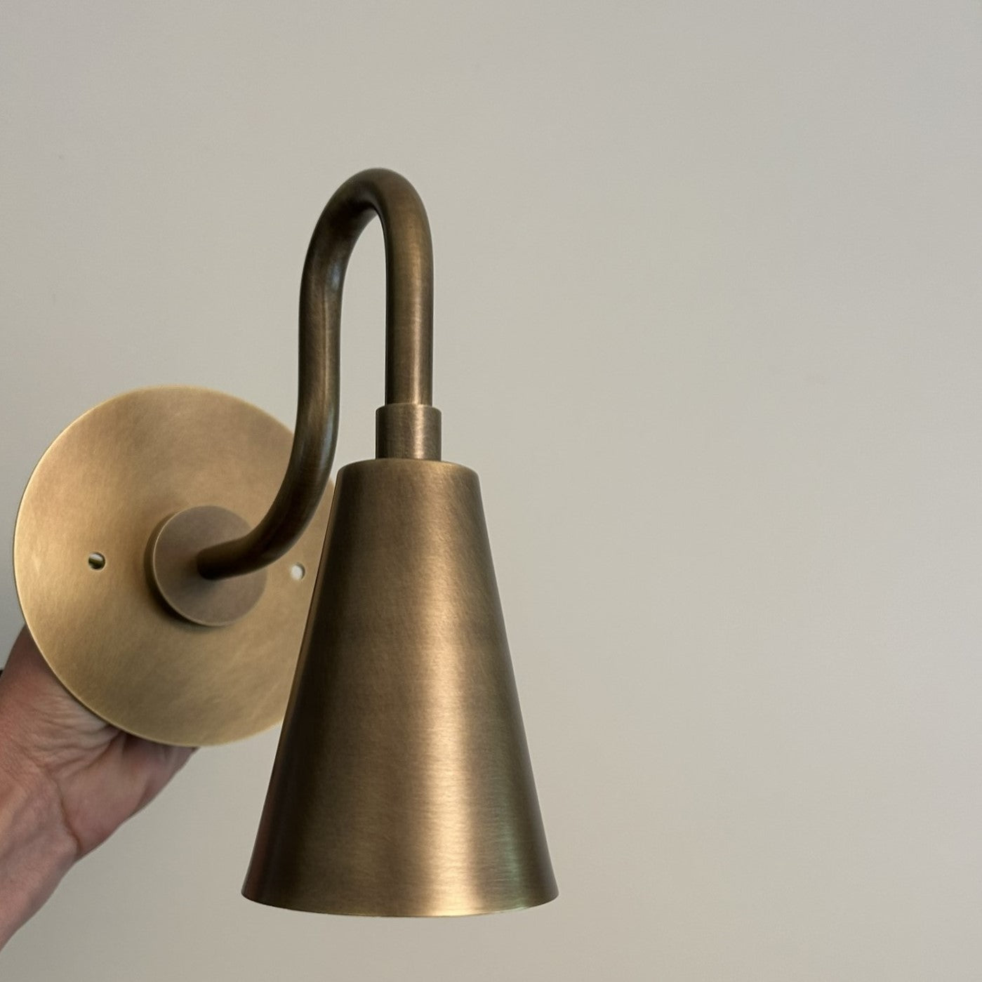 Irie Gooseneck Wall Lamp