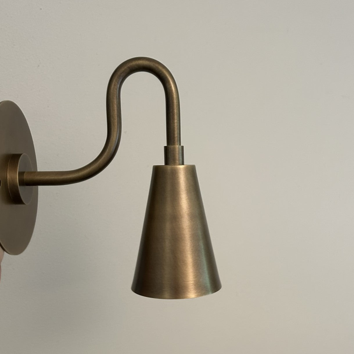 Irie Gooseneck Wall Lamp