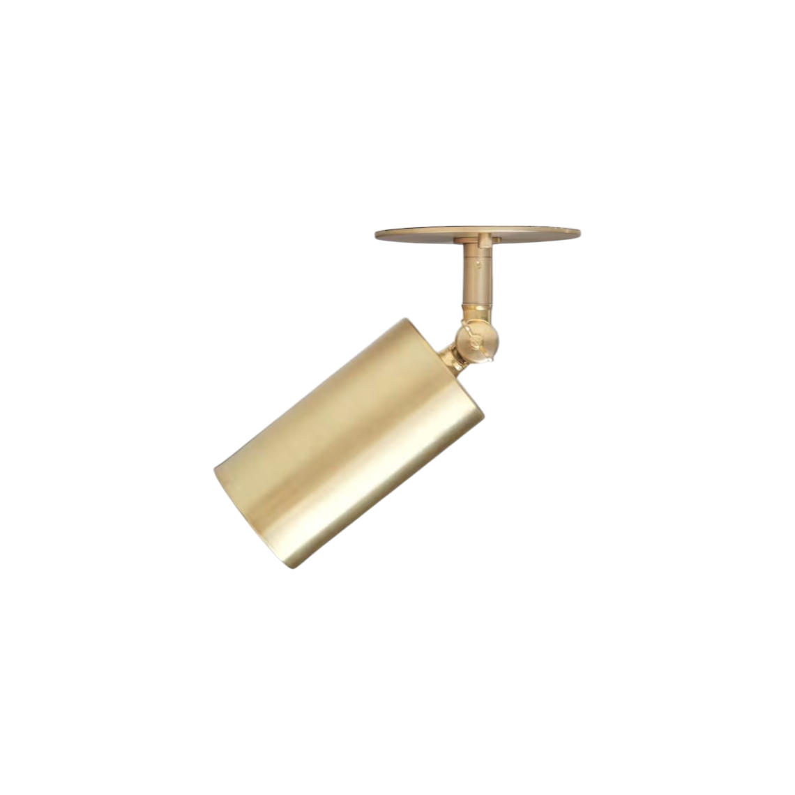 Jaden Flushmount Adjustable Ceiling Spotlight