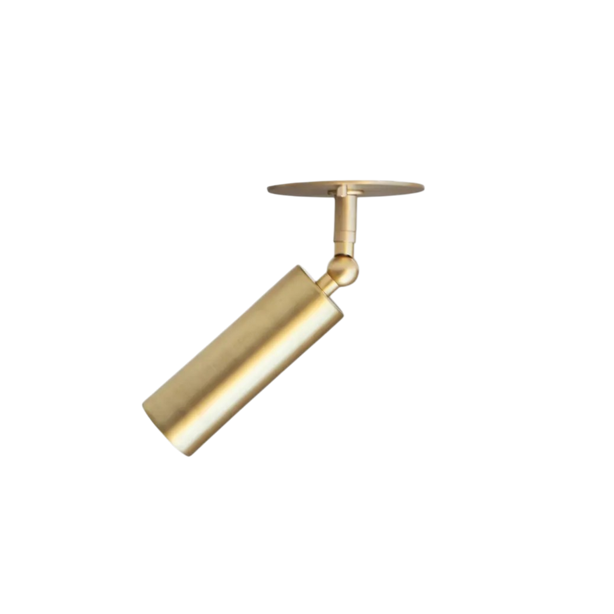 Lucinda Flushmount Adjustable Ceiling Spotlight