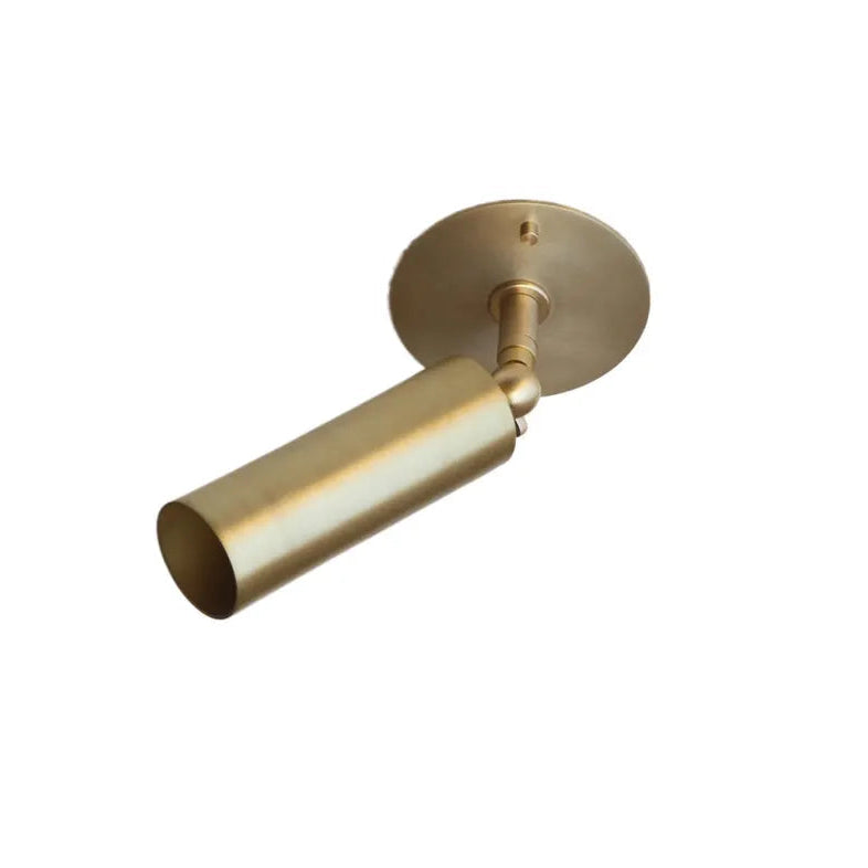 Lucinda Flushmount Adjustable Ceiling Spotlight