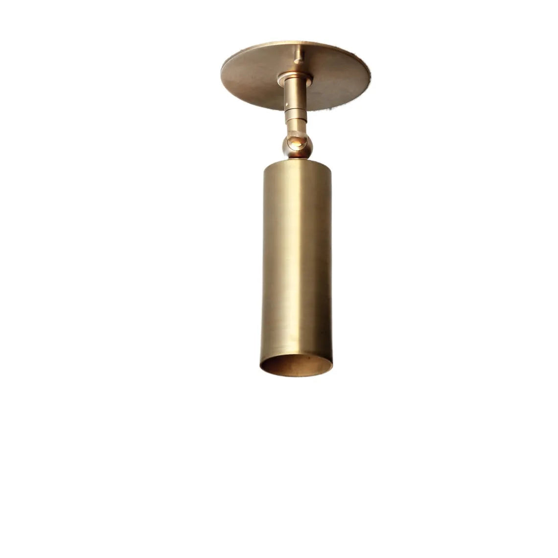 Lucinda Flushmount Adjustable Ceiling Spotlight