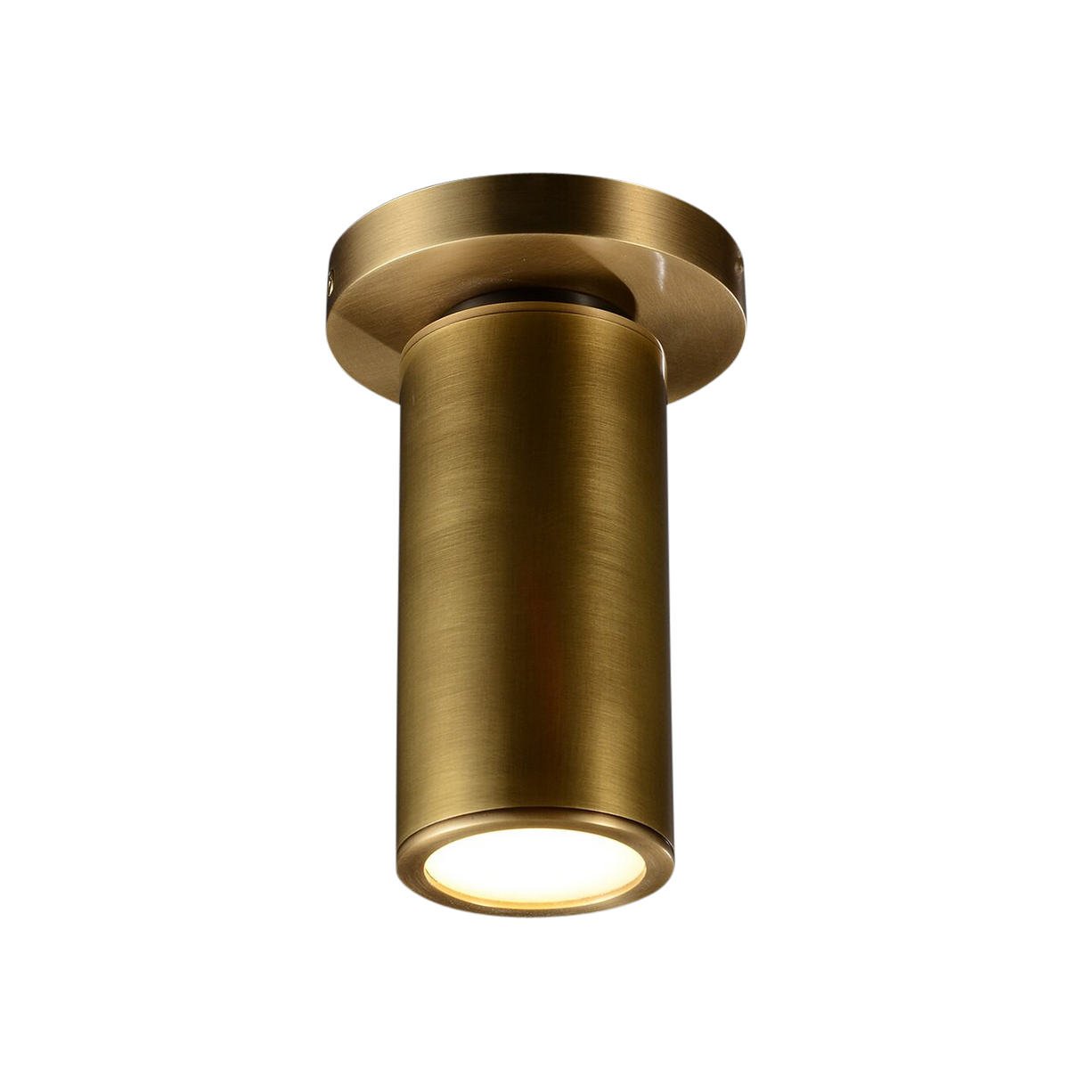 Luna Brass Ceiling Lamp