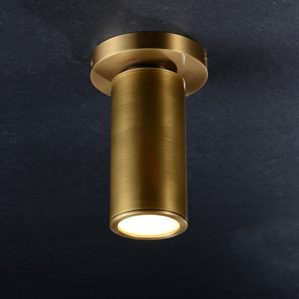 Luna Brass Ceiling Lamp