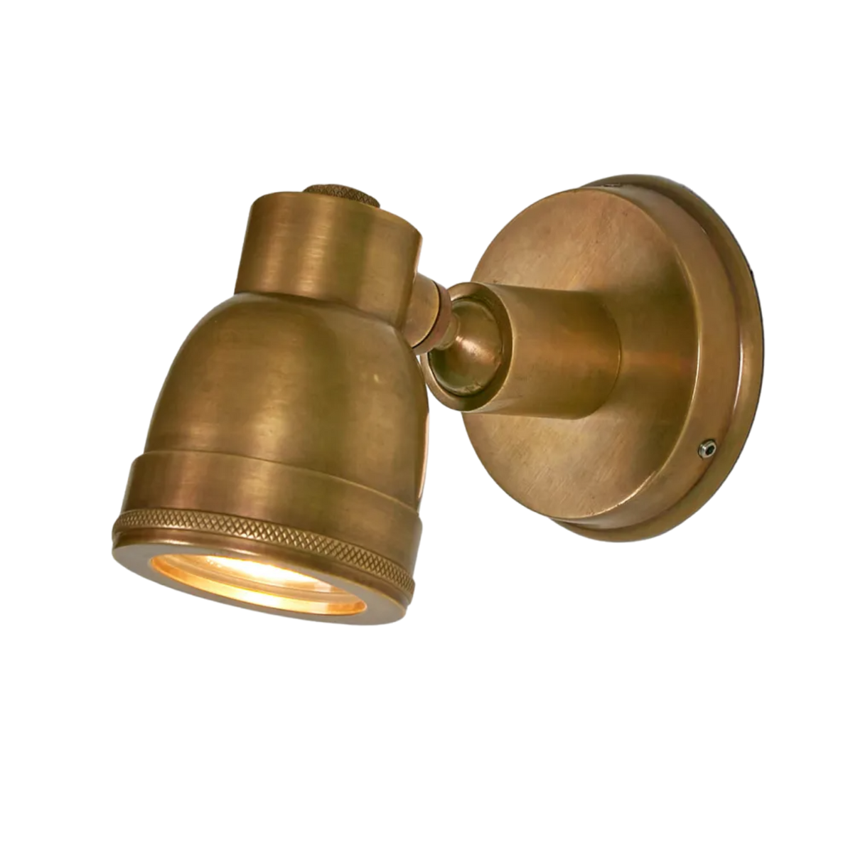 Pasco Outdoor Wall Light Antique Brass