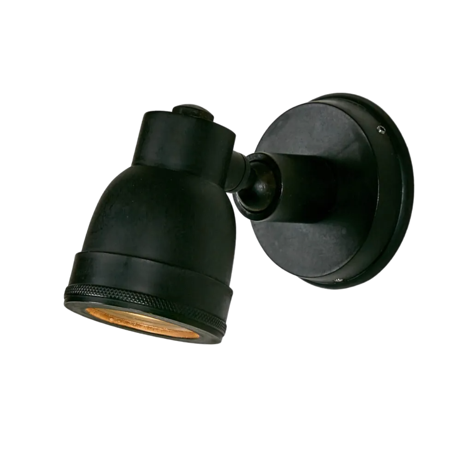 Pasco Outdoor Wall Light Black