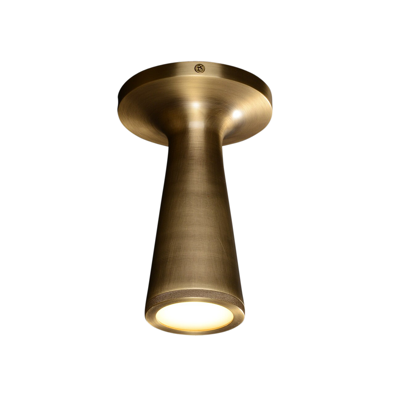 Coney Brass Ceiling Lamp