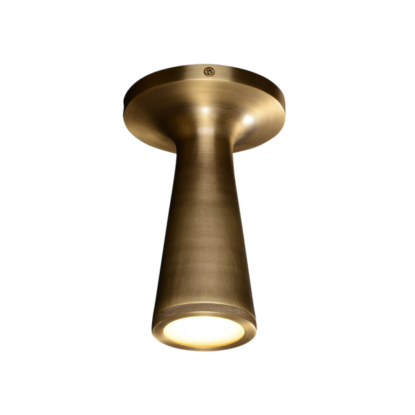 Coney Brass Ceiling Lamp