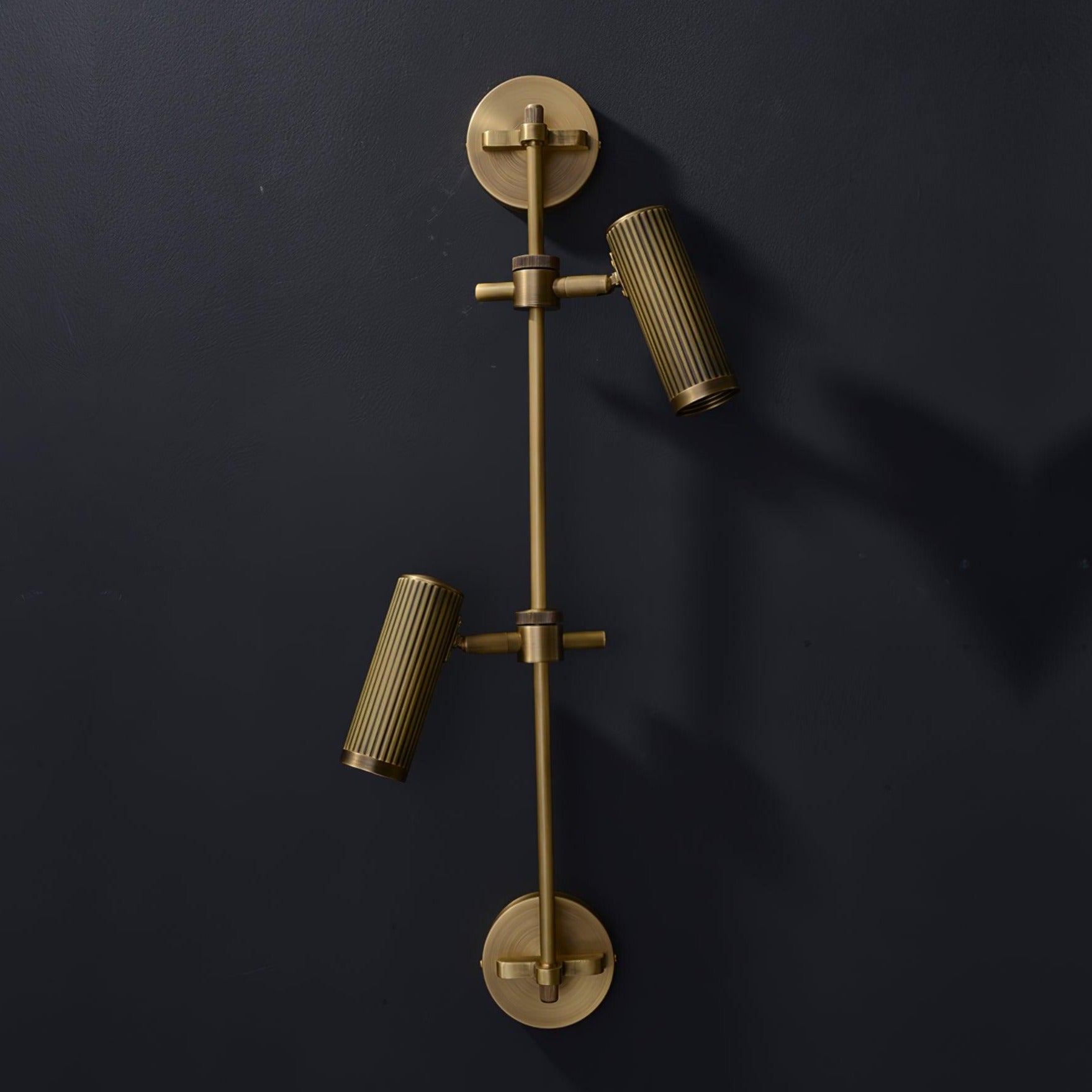 Carrara Adjustable Rail Wall Lamp (Twin Lamp)