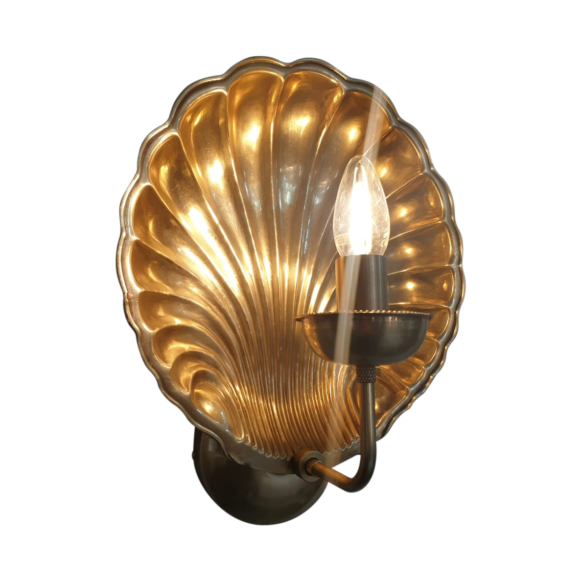 SMITH&SMITH Lighting Sydney Antonia Round Shell Brass Sconce Wall Light Front view